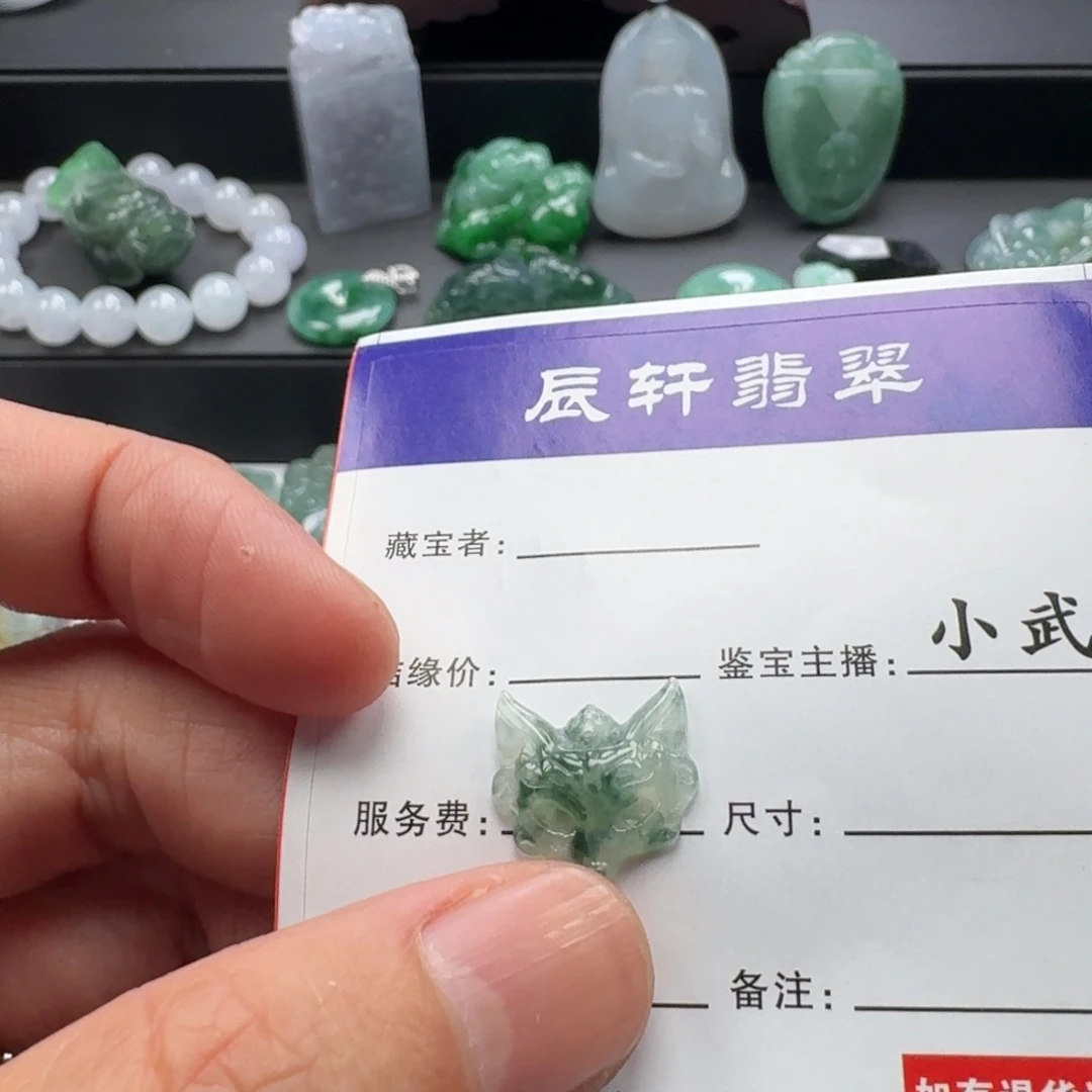 翡翠未镶嵌颈饰     21