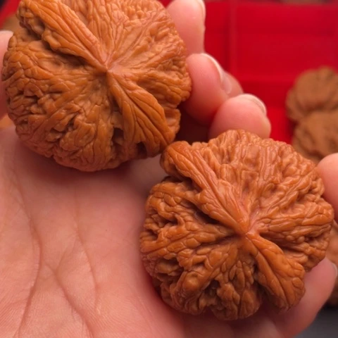 文玩核桃把件秦岭山脉核桃