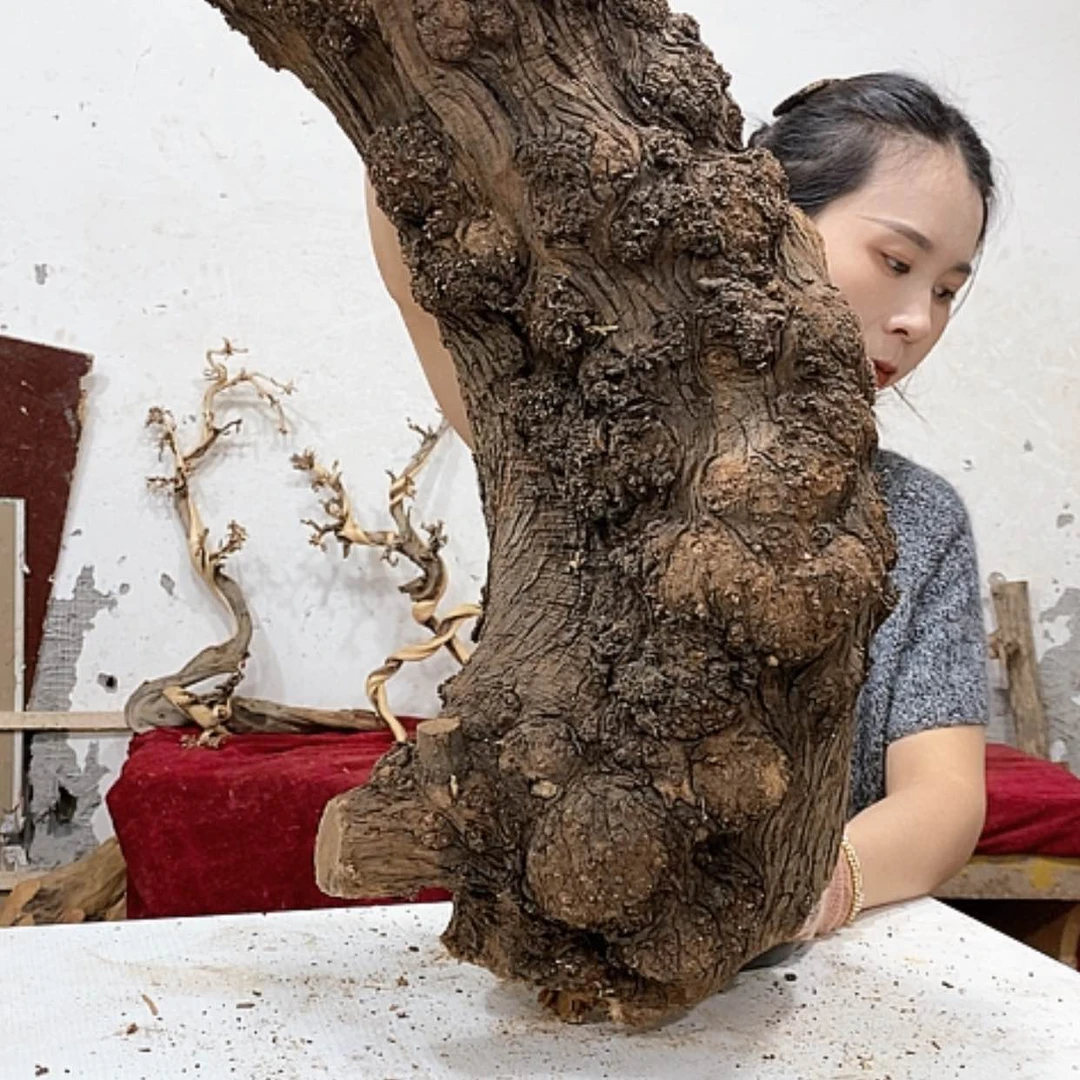 【闪购商品】柏木西****?我们都是好孩子