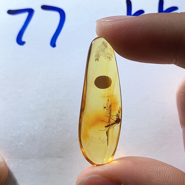 定制琥珀琥珀虫珀飞蚊