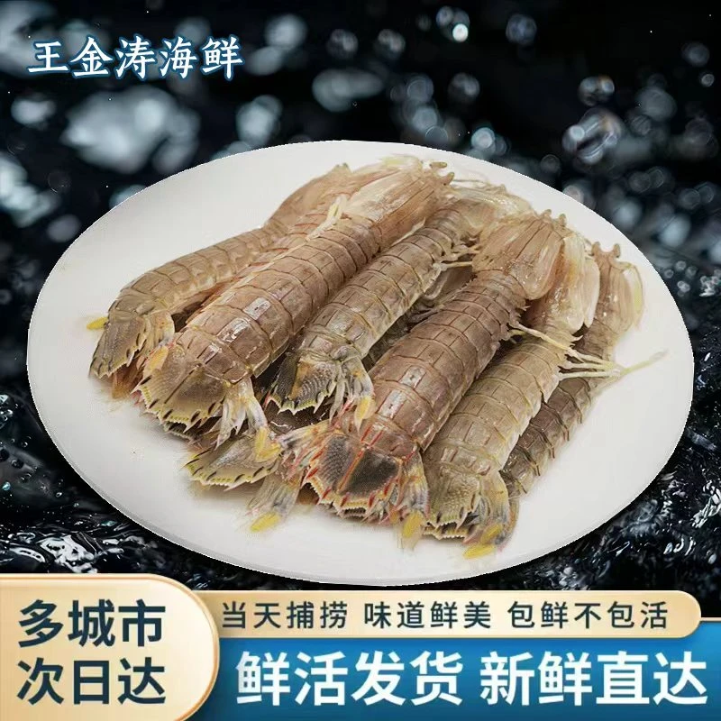 【保鲜不保活】鲜活皮皮虾 1斤 鲜活发货，保鲜不保活 京东次日达