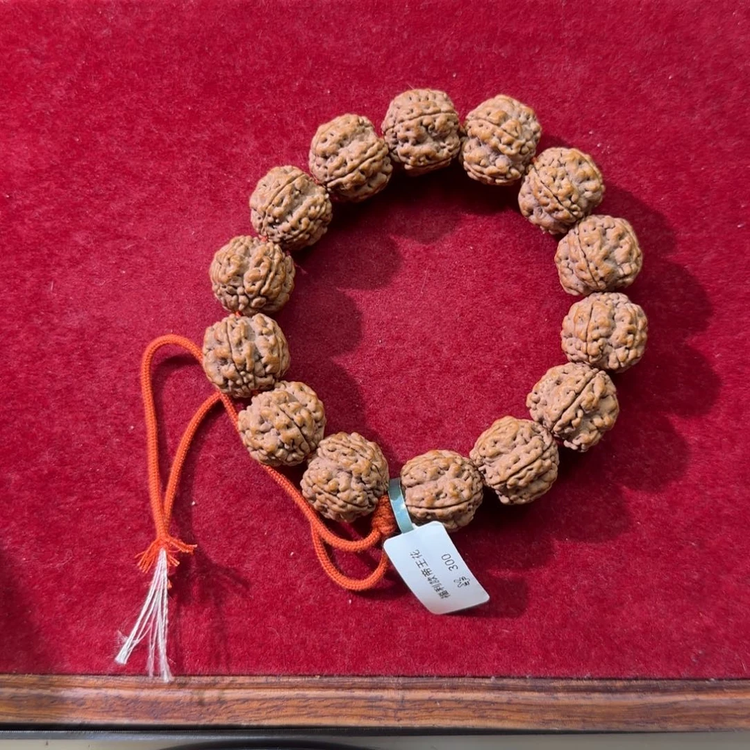 菩提无事牌琉*帝王花