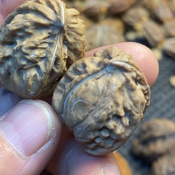 文玩核桃吊坠娜姐204