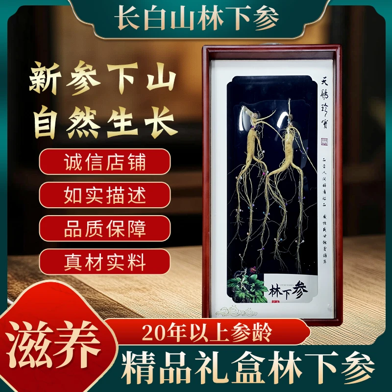 长白山林下参适合煲汤泡茶泡酒适合送家人领导