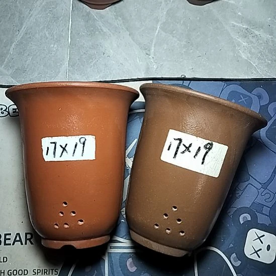 红泥紫泥小金钟两个花盆