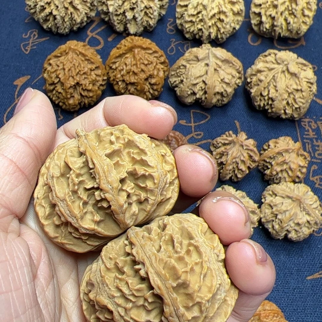 文玩核桃把件秦岭野生植物核桃