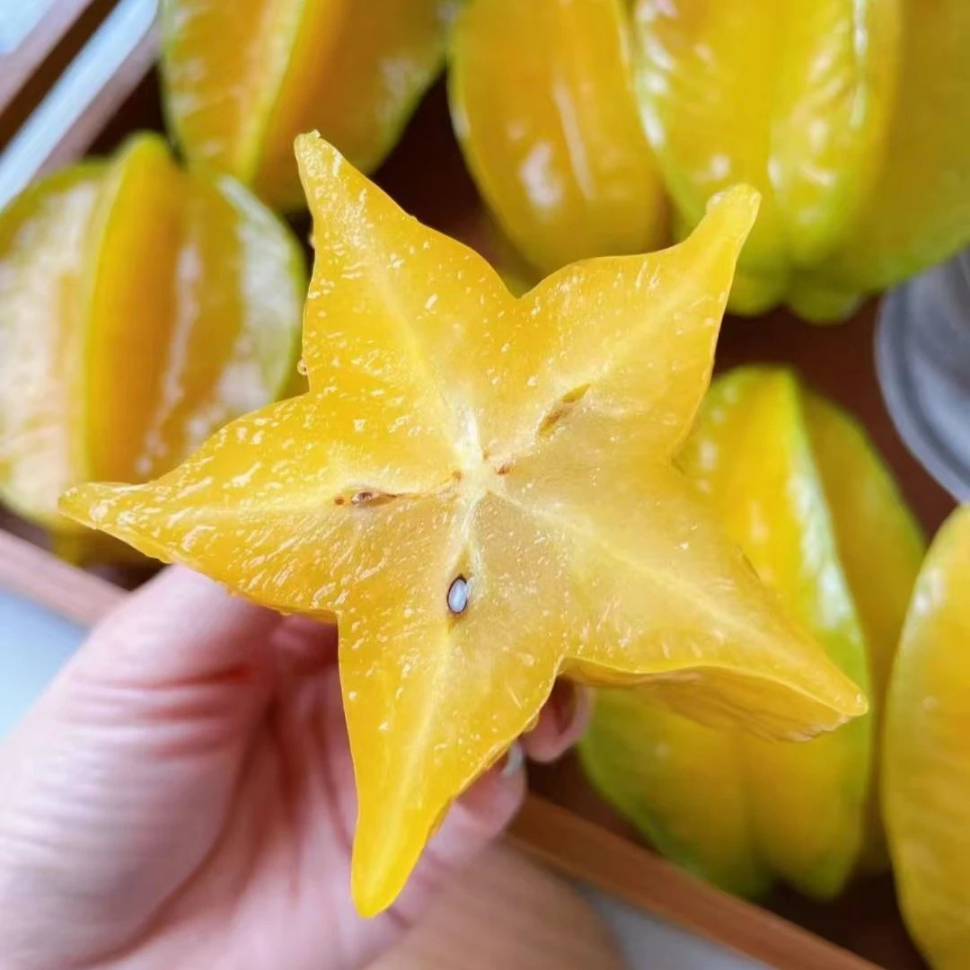 树熟杨桃大果1个200克左右