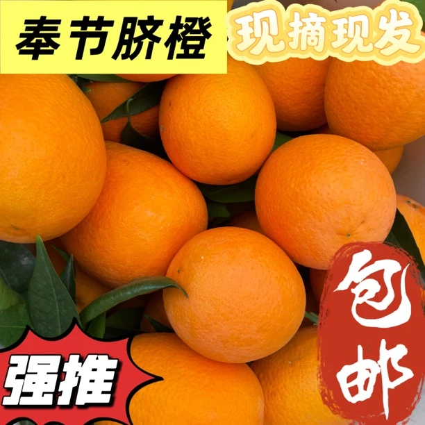 整箱正宗奉节脐橙精品好果香甜多汁新鲜采摘果园直发
