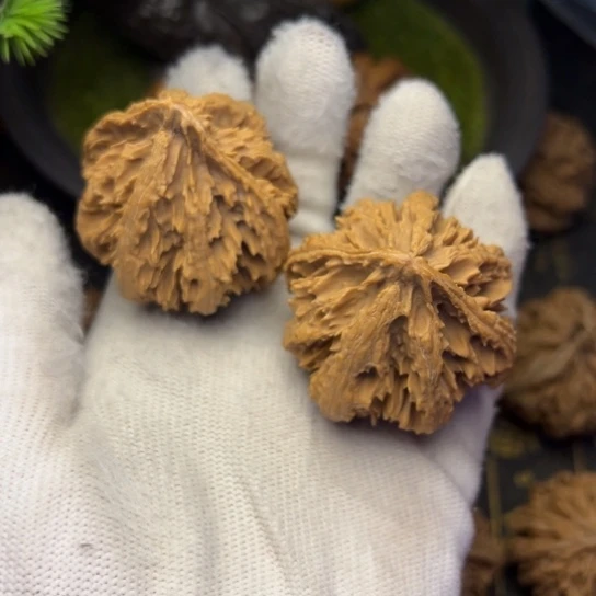 孙***帅吊坠文玩核桃秦岭核桃3