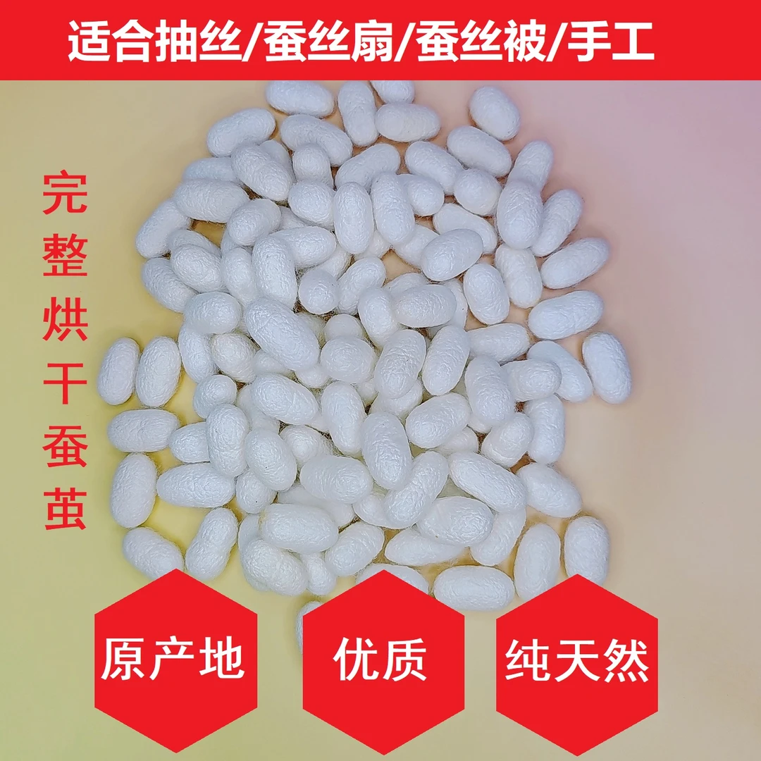 广西蚕茧适合手工diy蚕丝扇单宫烘干完整未开口蚕茧好抽丝能彩绘