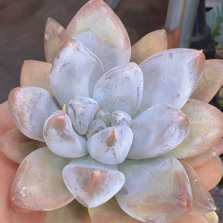 *****892////////////=====///