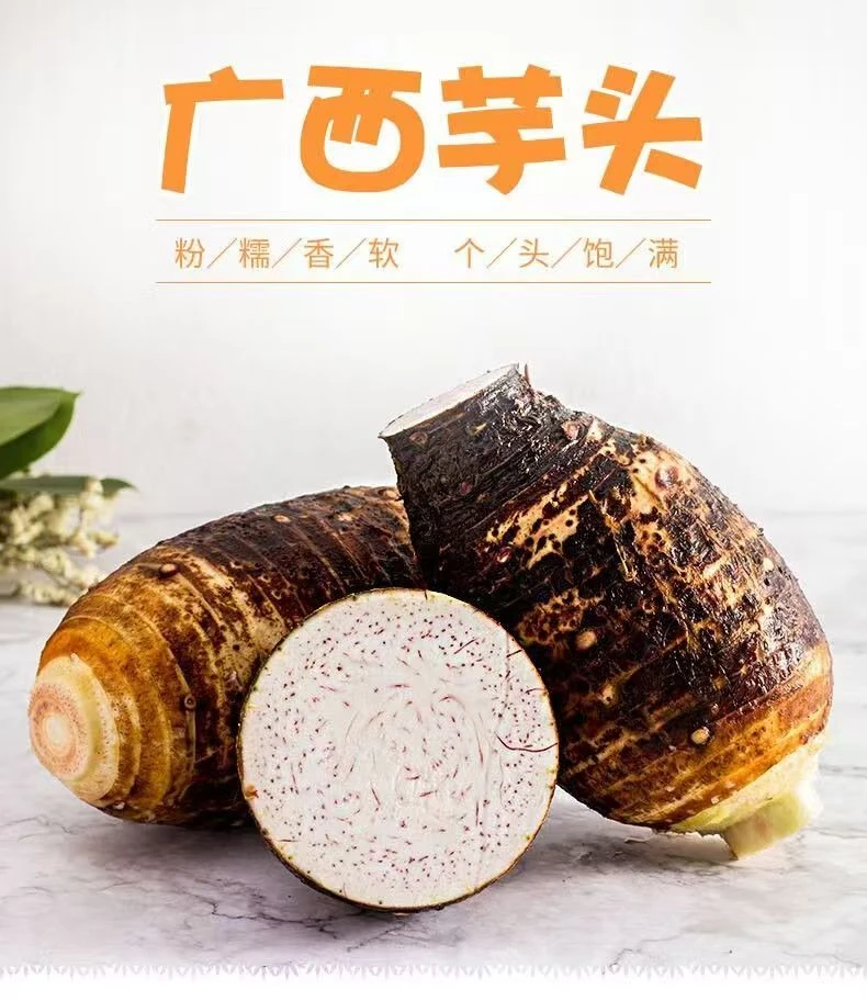 正宗广西荔浦芋头新鲜现挖香软粉糯特产大芋头