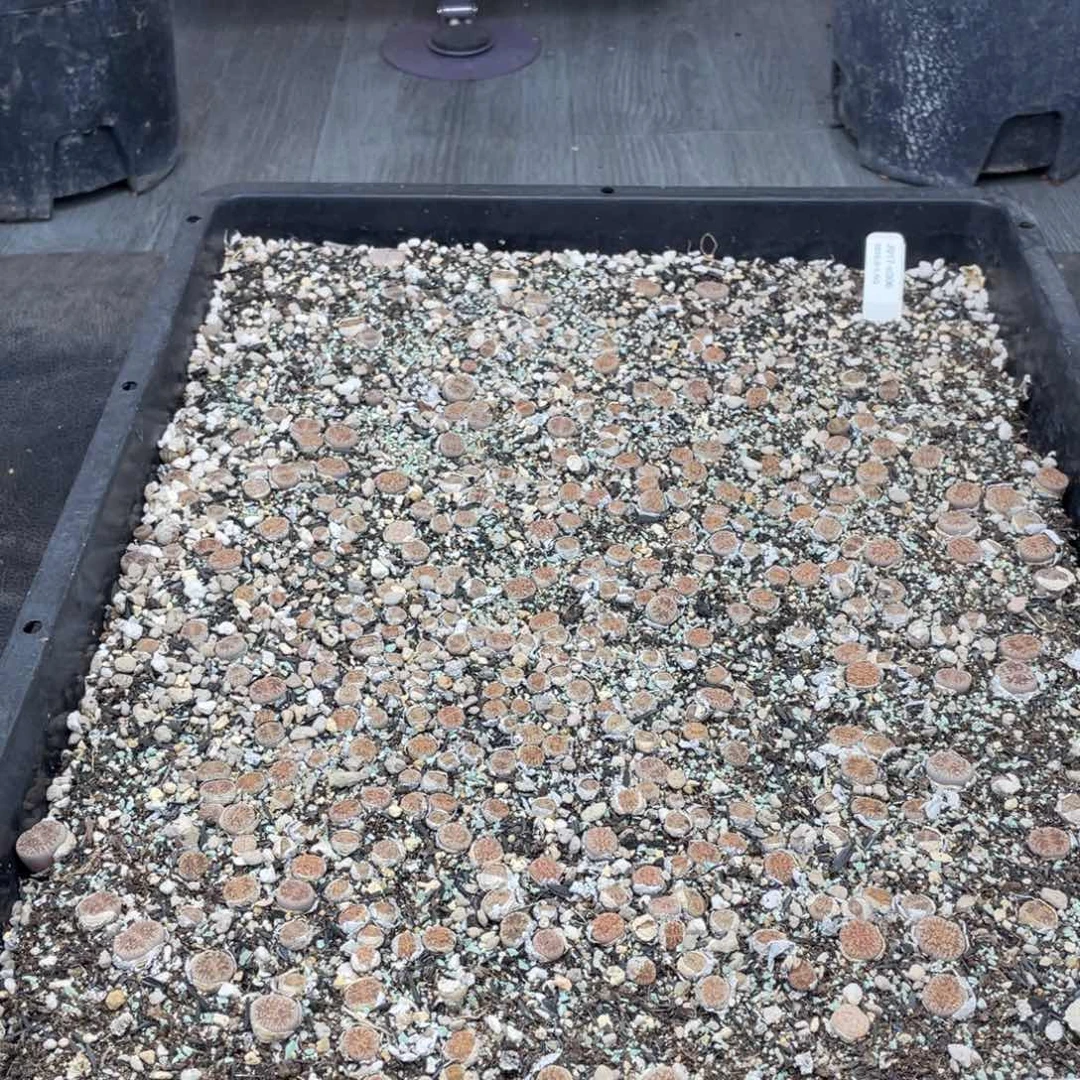 J****400000000000000000077