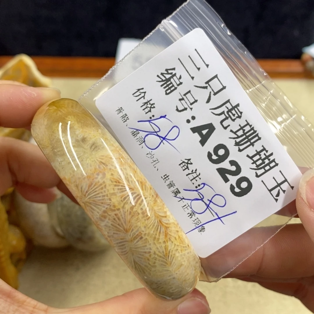 硅化珊瑚（珊瑚玉）1未镶嵌Q*