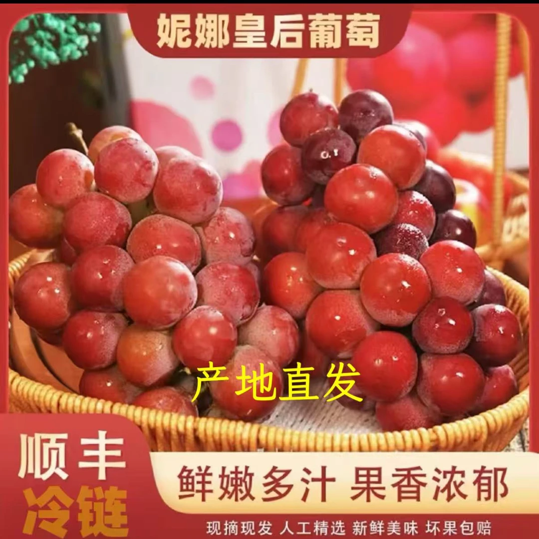 中秋送礼新鲜无籽妮娜皇后葡萄香甜红酒味儿童孕妇水果