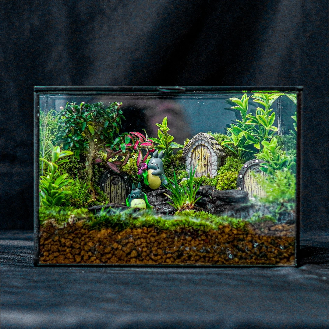 C11【精灵之家】苔藓微景观生态瓶桌面玄关绿植摆件送礼好物