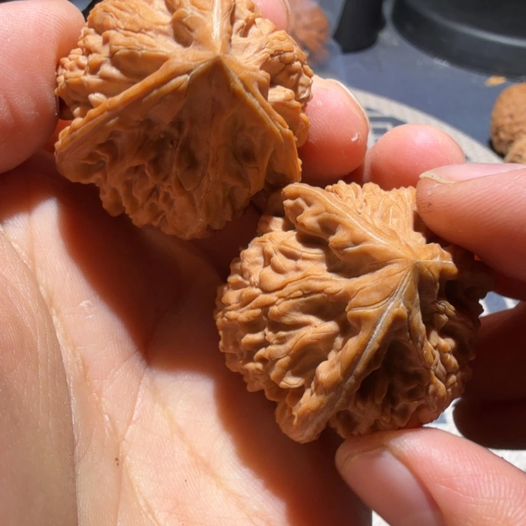 猴头核桃把件御龙正奔