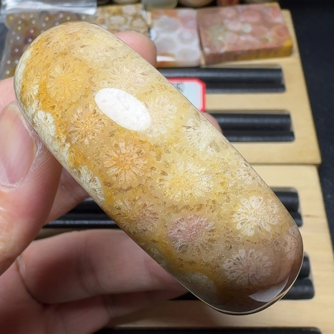 硅化玉纯天然色有机玉石未镶嵌53.5圈口