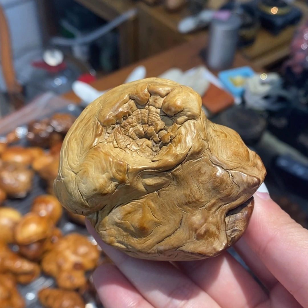 微***界柏木（崖柏）变异瘤包手把件