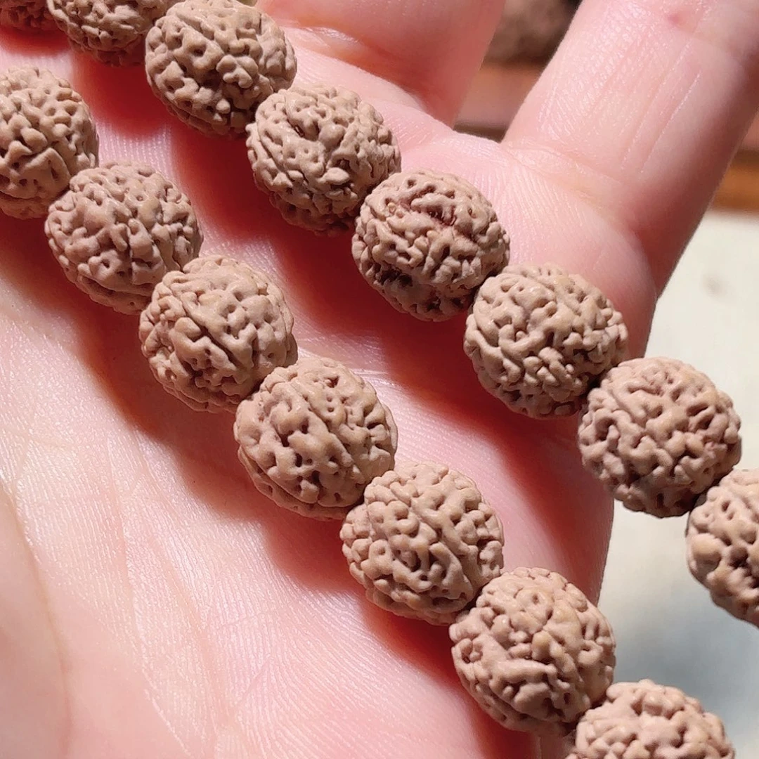旷***天印度尼西亚小金刚东爪哇一代龙手持