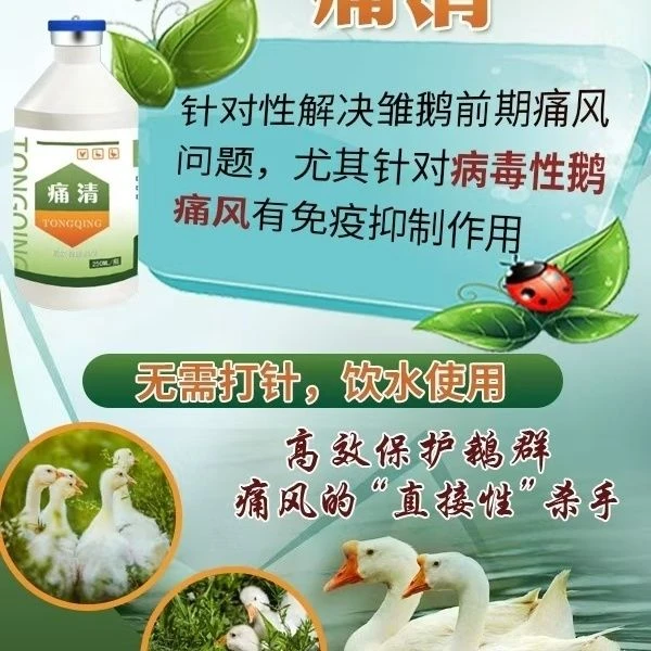 痛清1瓶1500-2000只，连用两天，饮水或者拌料兽药痛风养鹅兽药产品