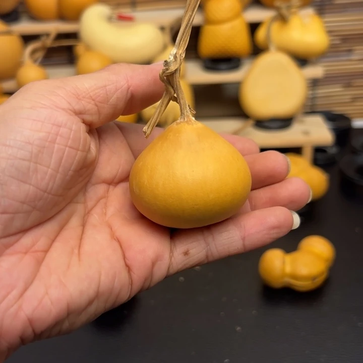 ?*?125556985365365699999