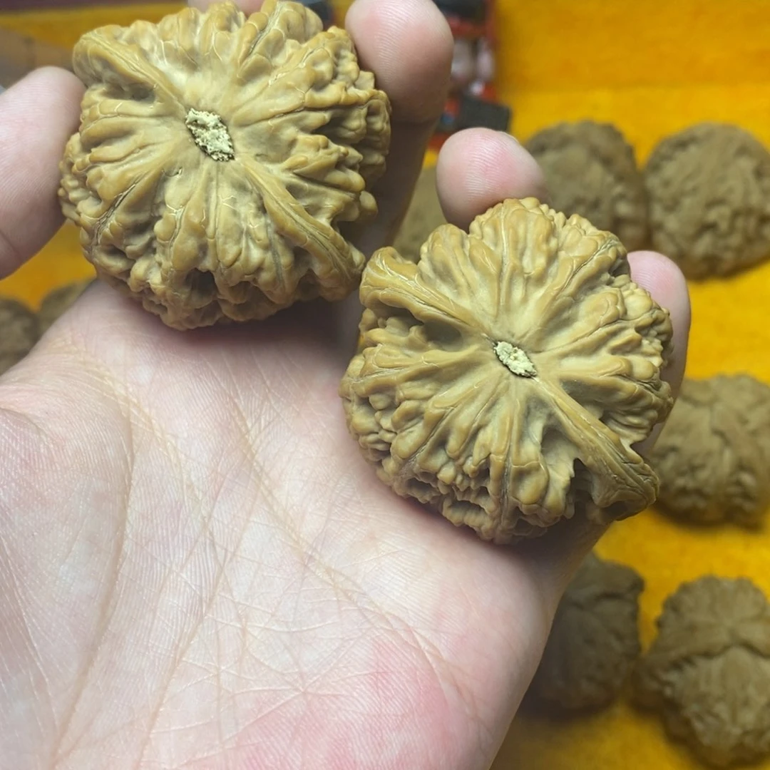 吊坠文玩核桃礼****）49粗筋