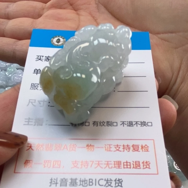 颈饰未镶嵌翡翠多人貔貅