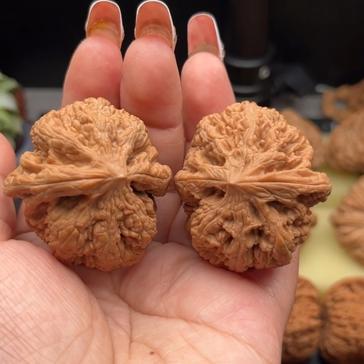 把件文玩核桃鹰嘴粗筋