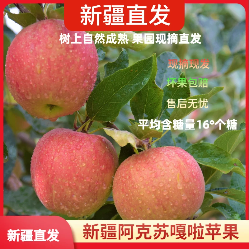 【新疆直发】新疆阿克苏嘎啦小苹果新鲜现摘水果产地直发4.5斤-8斤