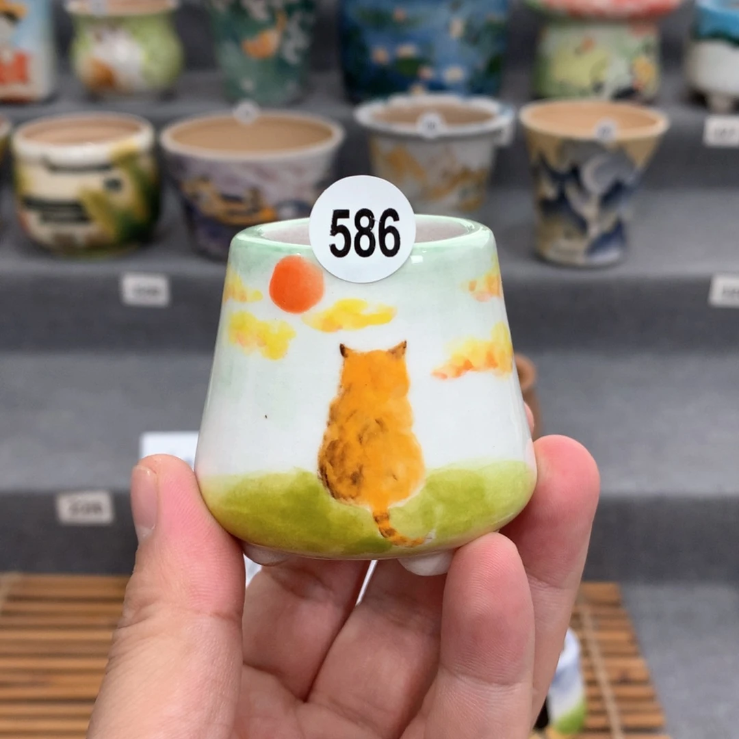罐双十一大活动专场，内口3.5