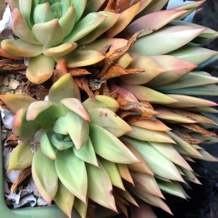 38–////////////////////