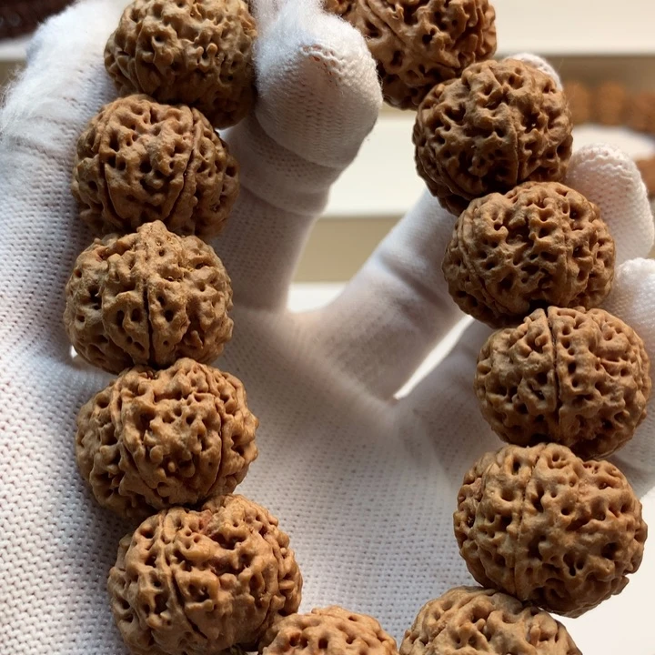 吊坠金刚菩提23尺寸梅花双龙