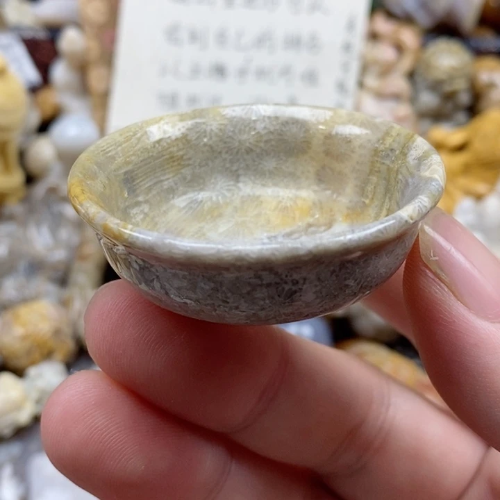 颈饰未镶嵌硅化珊瑚（珊瑚玉）