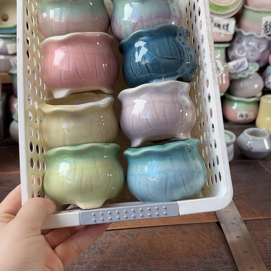 量货/5.5口高5.2深浅搭配发6