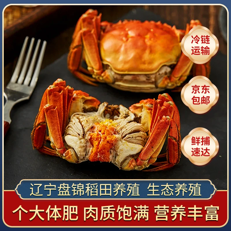 【活蟹】盘锦河蟹（1.5-1.3两/只）2斤母蟹 鲜活发货