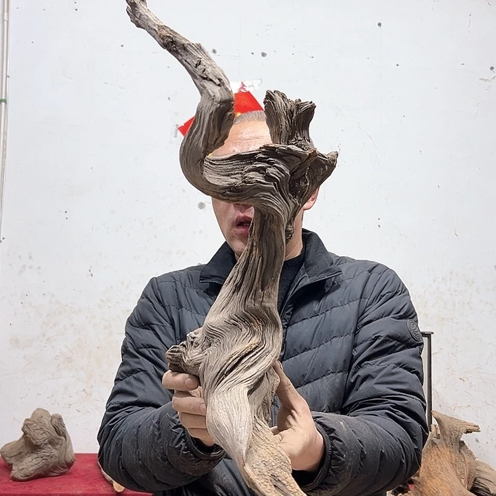 柏木叶*我们的生活也是如此