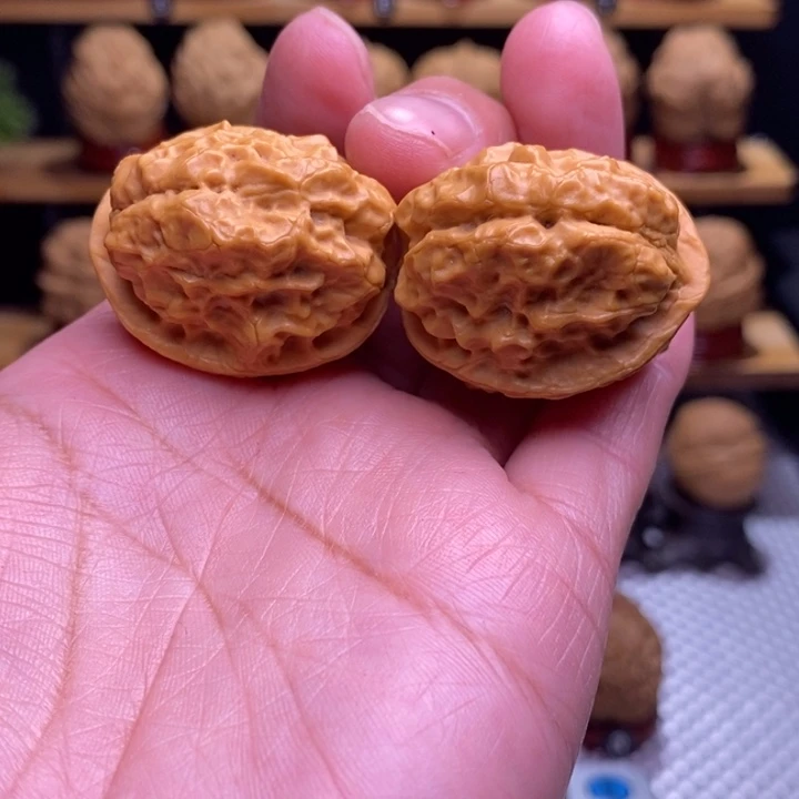 木质类云铁龙鳞疙瘩包微修110号