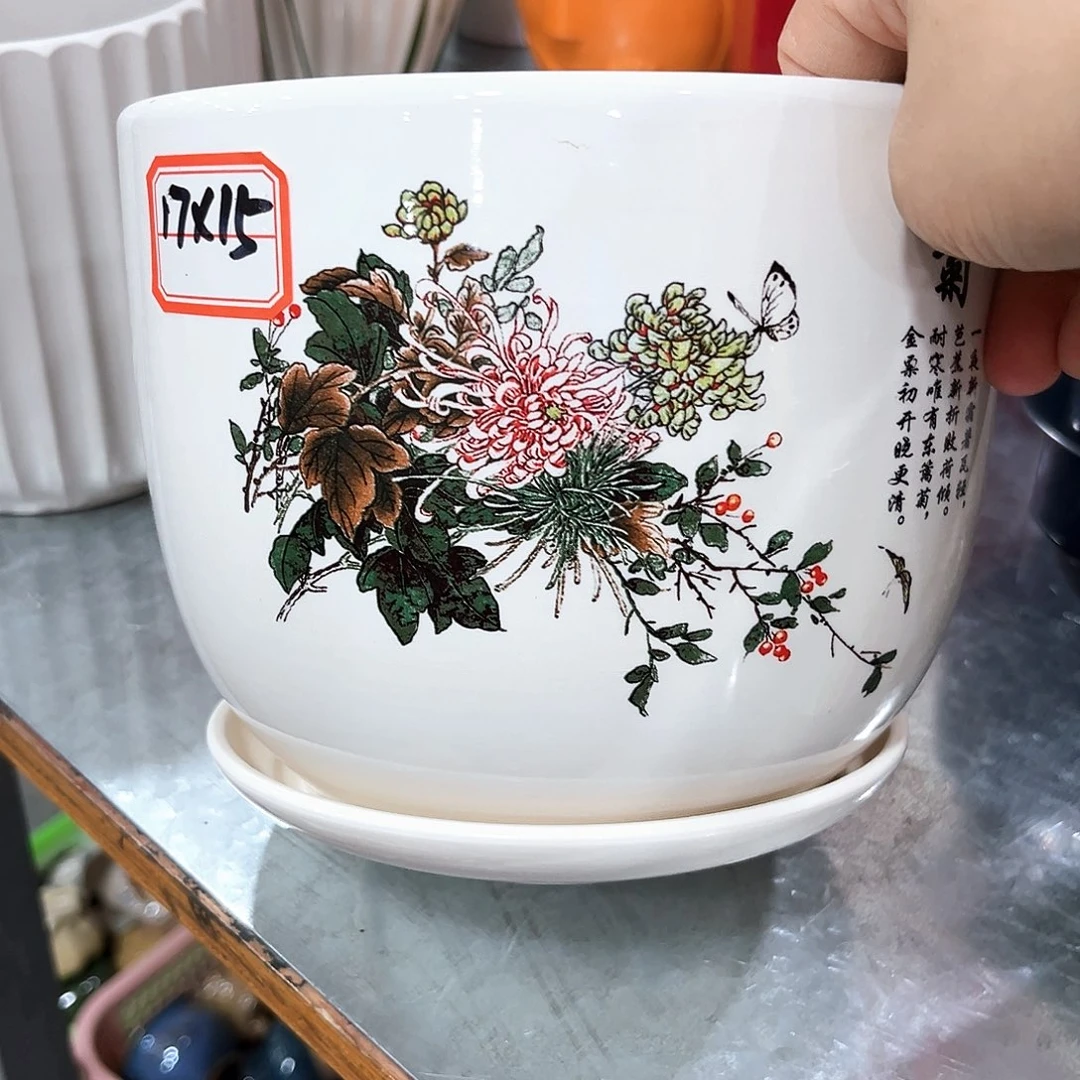 花盆花盆花盆花盆花盆花盆花盆