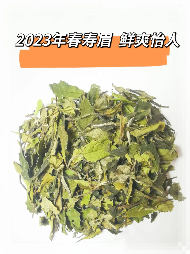 2023福鼎高山春寿眉 日光萎凋 50g 甘甜清爽 干净正味 汲雾3231