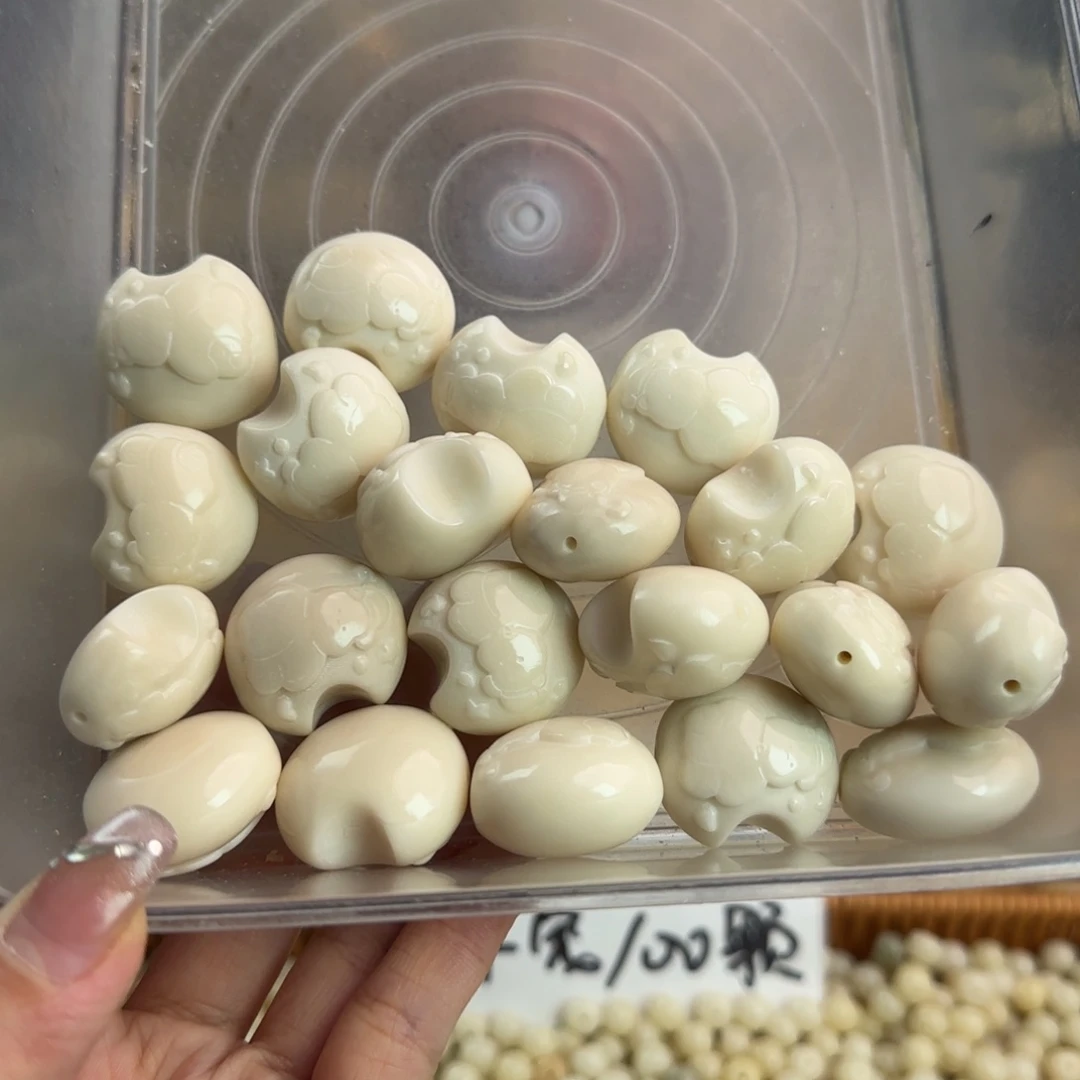 吊坠菩提根/象牙果通货牙果卡27/28月亮熊21颗不售后