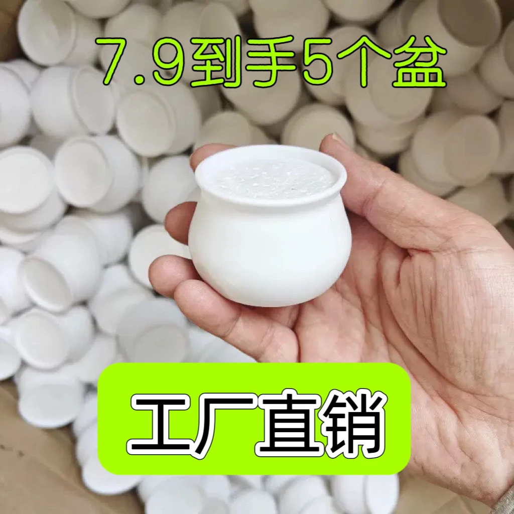 工厂直销～车载小盆栽小花盆小白盆送车载无痕贴送泡沫球
