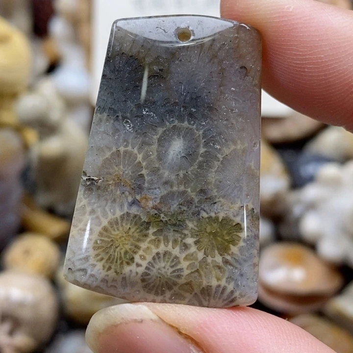 颈饰未镶嵌硅化珊瑚（珊瑚玉）小