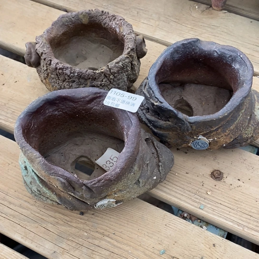 @***G99号花盆三个组合福利啦啦