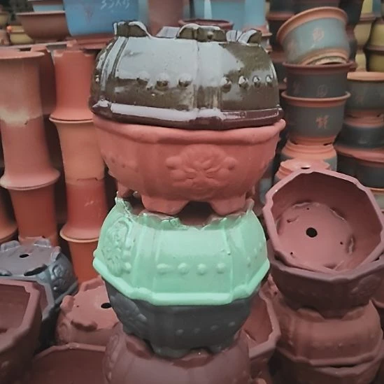 口22*10 微霞十个 四色