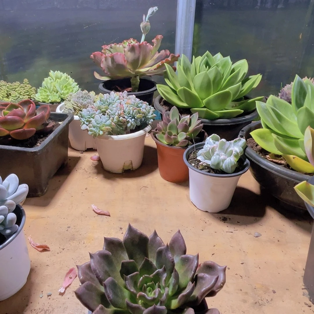 花***儿0000000000000022