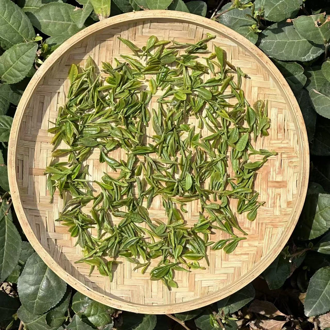 雲松山2025年日照绿茶露天头春头采春茶新茶豌豆香四月合集