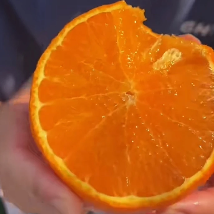 爱媛果冻橙一箱约10斤左右