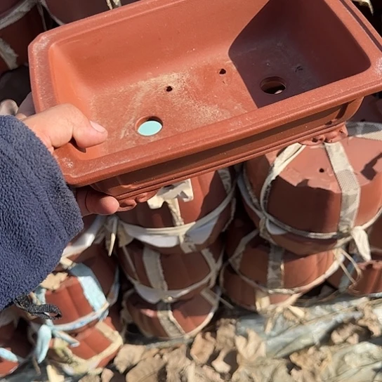 是你给她打个电饭煮好没呀今天吃不