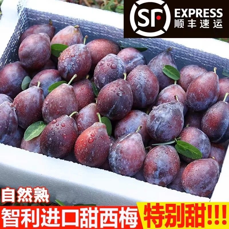 【顺丰速发】智利进口西梅新鲜水果当季甜李子现货现发时令鲜果孕妇